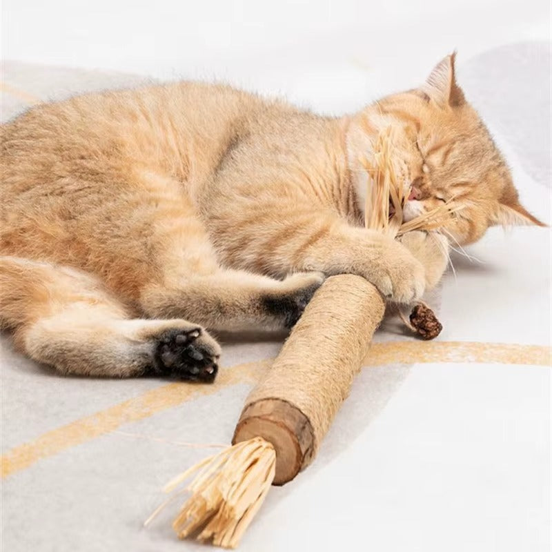 Οδοντόβουρτσα PurrfectBite™ Silvervine